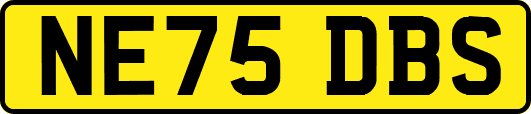 NE75DBS