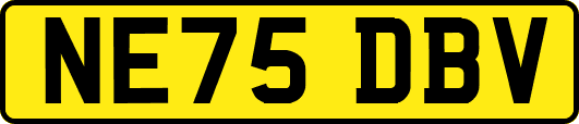NE75DBV