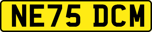 NE75DCM
