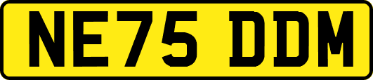 NE75DDM