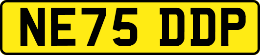 NE75DDP