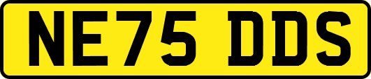 NE75DDS
