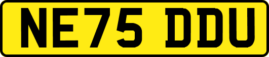 NE75DDU
