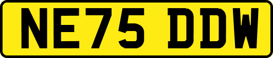 NE75DDW