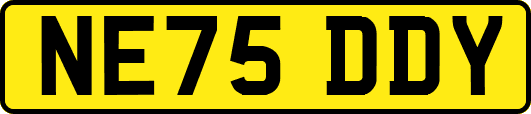 NE75DDY