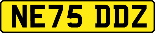 NE75DDZ