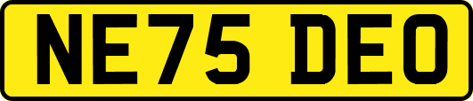 NE75DEO