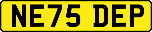 NE75DEP
