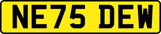 NE75DEW