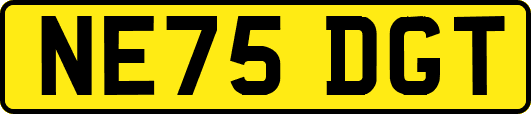 NE75DGT