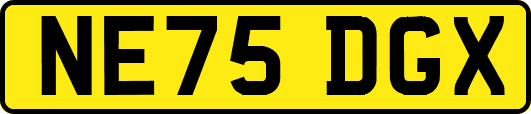 NE75DGX
