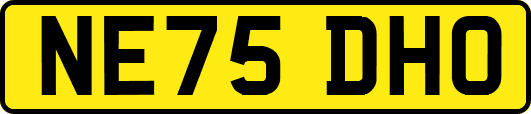 NE75DHO