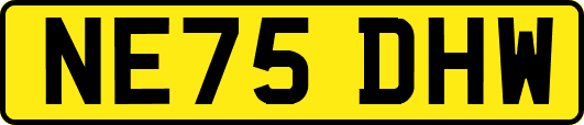 NE75DHW