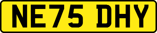 NE75DHY