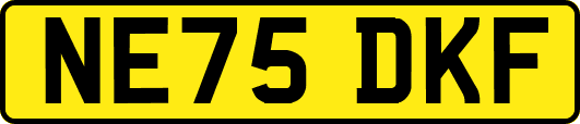 NE75DKF