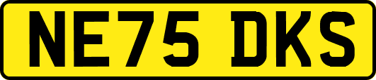 NE75DKS