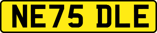 NE75DLE