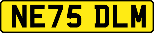 NE75DLM