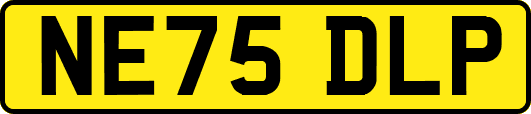NE75DLP