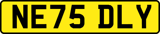 NE75DLY
