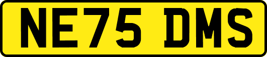 NE75DMS