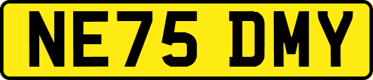 NE75DMY
