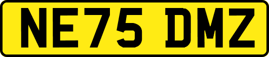 NE75DMZ