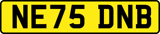 NE75DNB