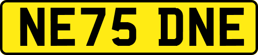 NE75DNE