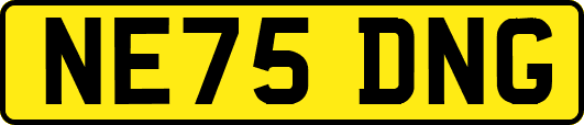 NE75DNG