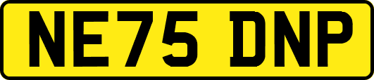 NE75DNP
