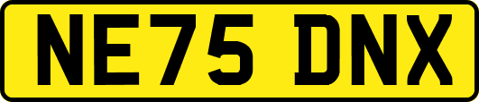 NE75DNX