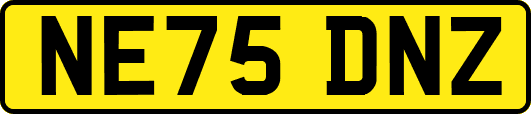 NE75DNZ