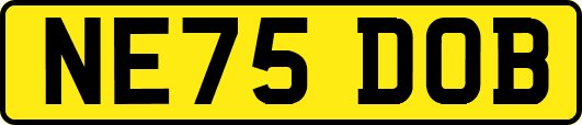 NE75DOB