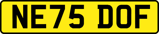 NE75DOF