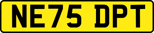 NE75DPT