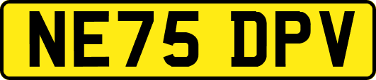 NE75DPV