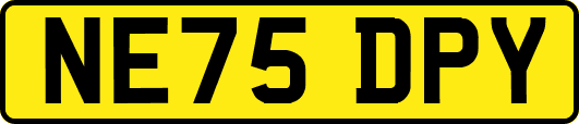 NE75DPY