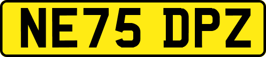 NE75DPZ
