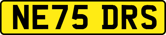 NE75DRS