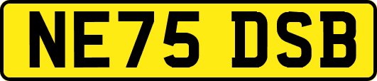 NE75DSB