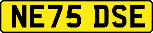 NE75DSE