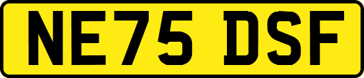 NE75DSF