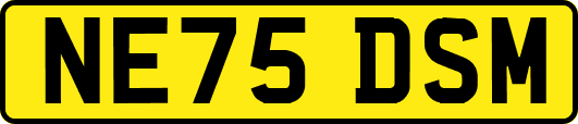 NE75DSM