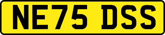 NE75DSS