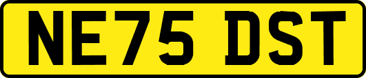 NE75DST
