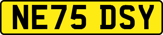 NE75DSY