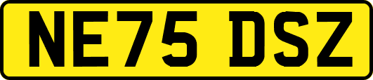 NE75DSZ