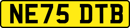 NE75DTB