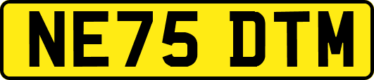 NE75DTM